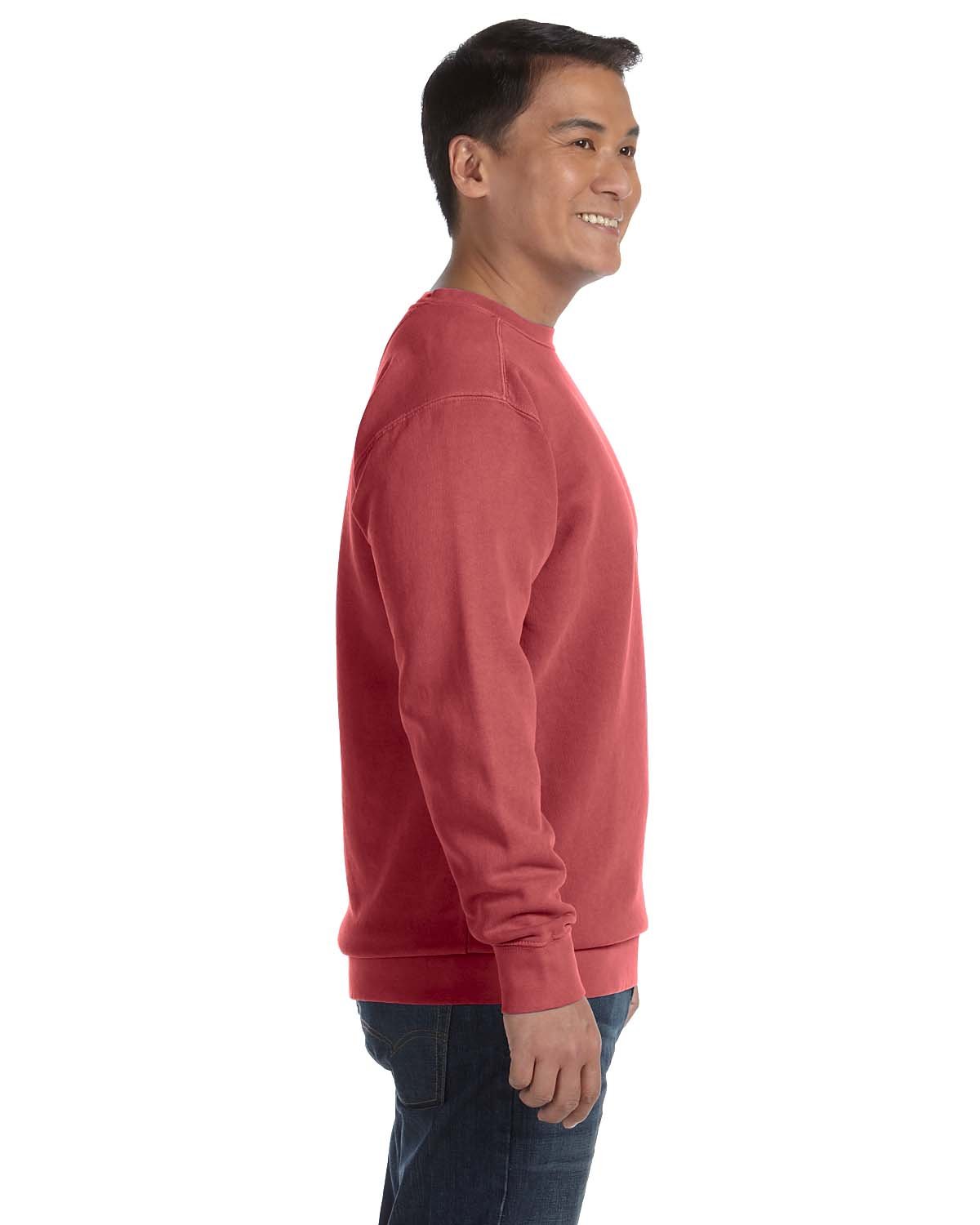 Stand Out in Comfort Colors Sweatshirts 